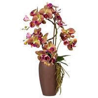 Kunstpflanze Orchideen Grün/Lila - Lila/Braun, Design, Keramik/Kunststoff (70cm)