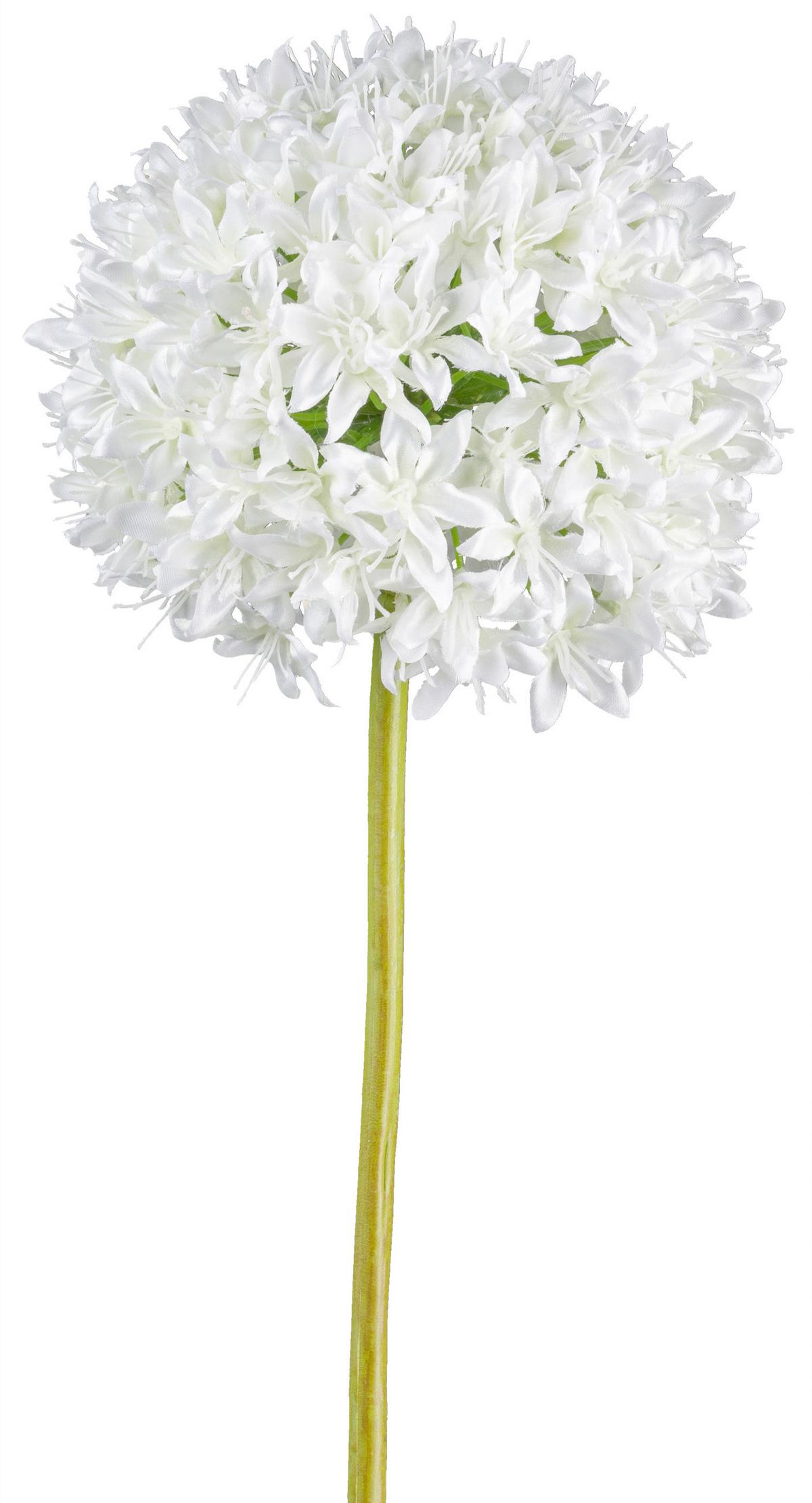 Allium II Weiß/Grün - Weiß/Grün, Basics, Kunststoff/Metall (89cm)