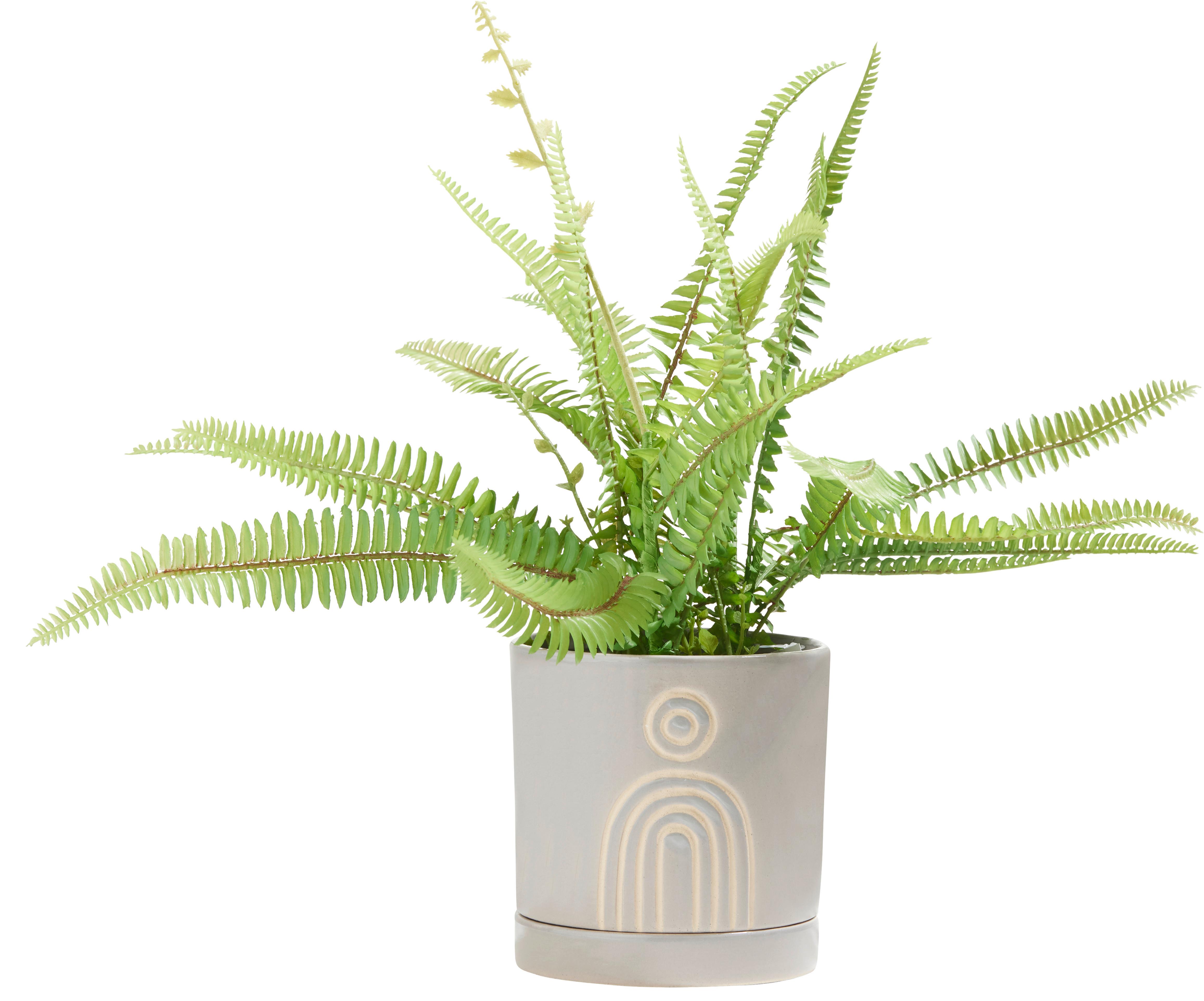 Kaspó Átm./ma.: Kb. 13,6/13,9cm - szürke/homok, kerámia (13,6/13,9cm) - Modern Living