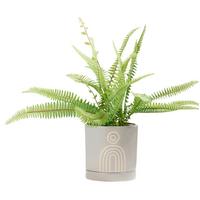 Kaspó Átm./ma.: Kb. 13,6/13,9cm - szürke/homok, kerámia (13,6/13,9cm) - Modern Living