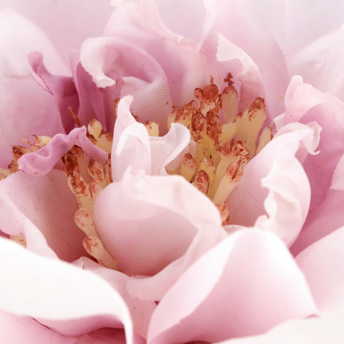 Rose II Grün/Helllila - Lila/Grün, Basics, Kunststoff/Textil (63cm) - Mömax