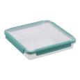 Frischhaltedose Linnea Mint/transparent - Transparent/Mintgrün, MODERN, Kunststoff (22,0/22,0cm)