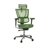 Pisarniški Stol Ergohuman Slim I, Zelena - srebrne barve/zelena, Basics, kovina/umetna masa (69/116-138/66cm) - MID.YOU