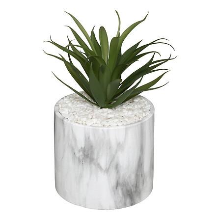 Plantă artificială Marble - Basics (9/18/9cm)