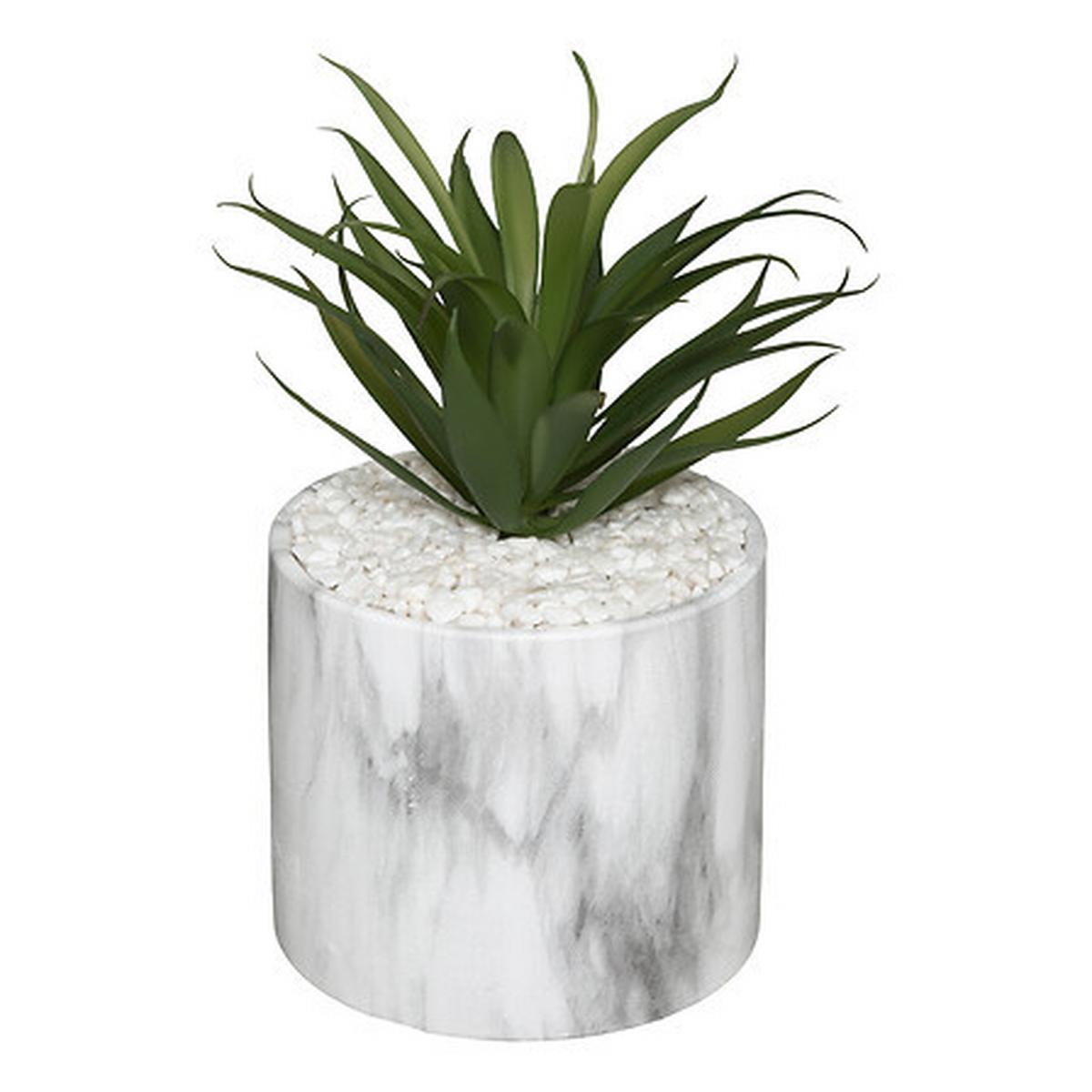 Plantă artificială Marble - Basics (9/18/9cm)