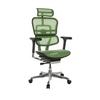 Pisarniški Stol Ergohuman I, Zelena - srebrne barve/zelena, Basics, kovina/umetna masa (69/119-144/65cm) - MID.YOU