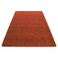 Hochflorteppich Life Terracotta ca. 80x250cm - Terracotta, KONVENTIONELL, Textil (80/250cm) - Novel