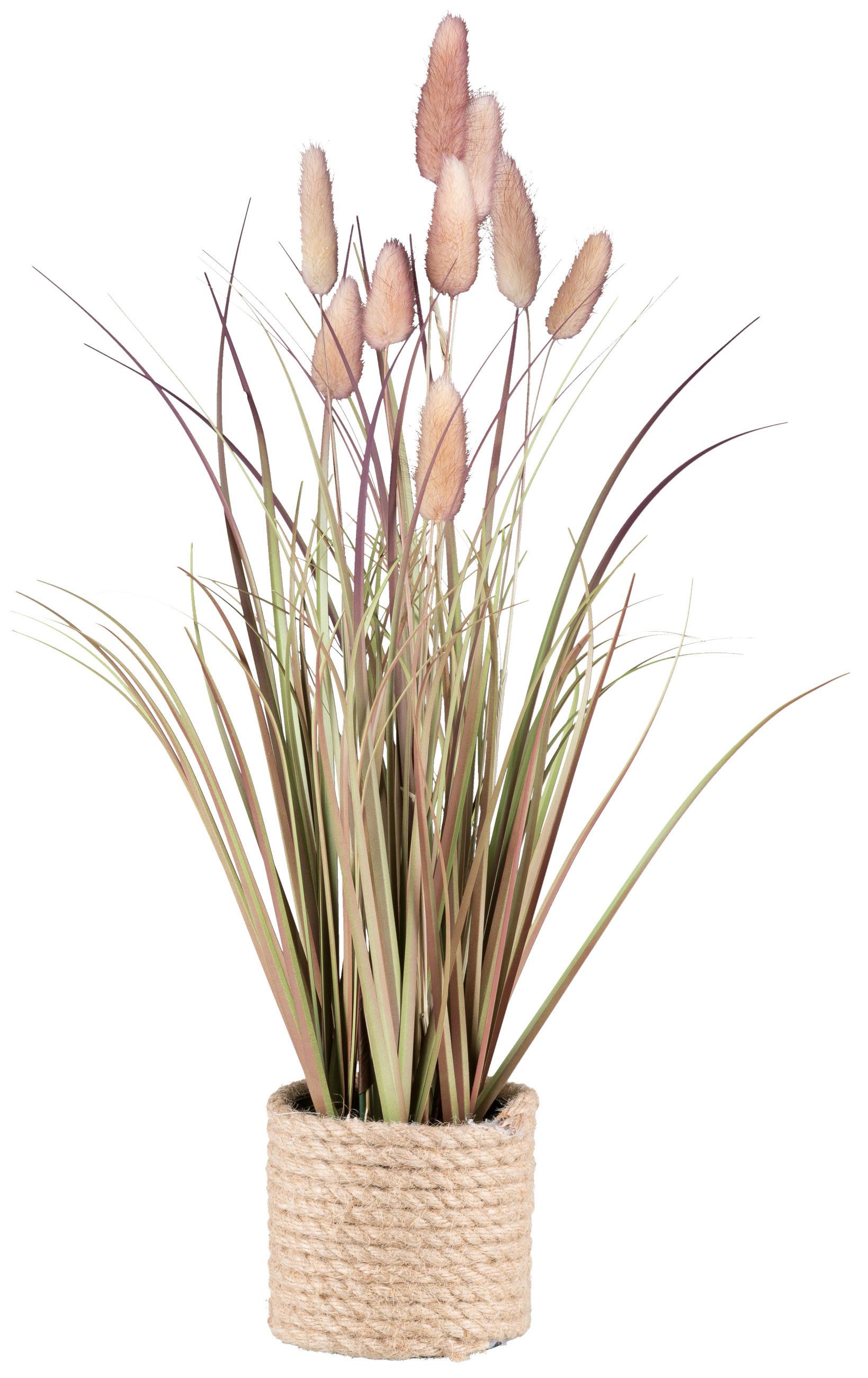 SZTUCZNA ROŚLINA GRASBUSCH I - różowy/zielony, Konventionell, tworzywo sztuczne/materiały naturalne (44cm) - Modern Living