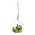 Dekohänger Elena Verschiedene Modelle - Natur, Glas (12 10,8 13cm) Dekohänger Elena Verschiedene Modelle - Natur, Glas (12 10,8 13cm)