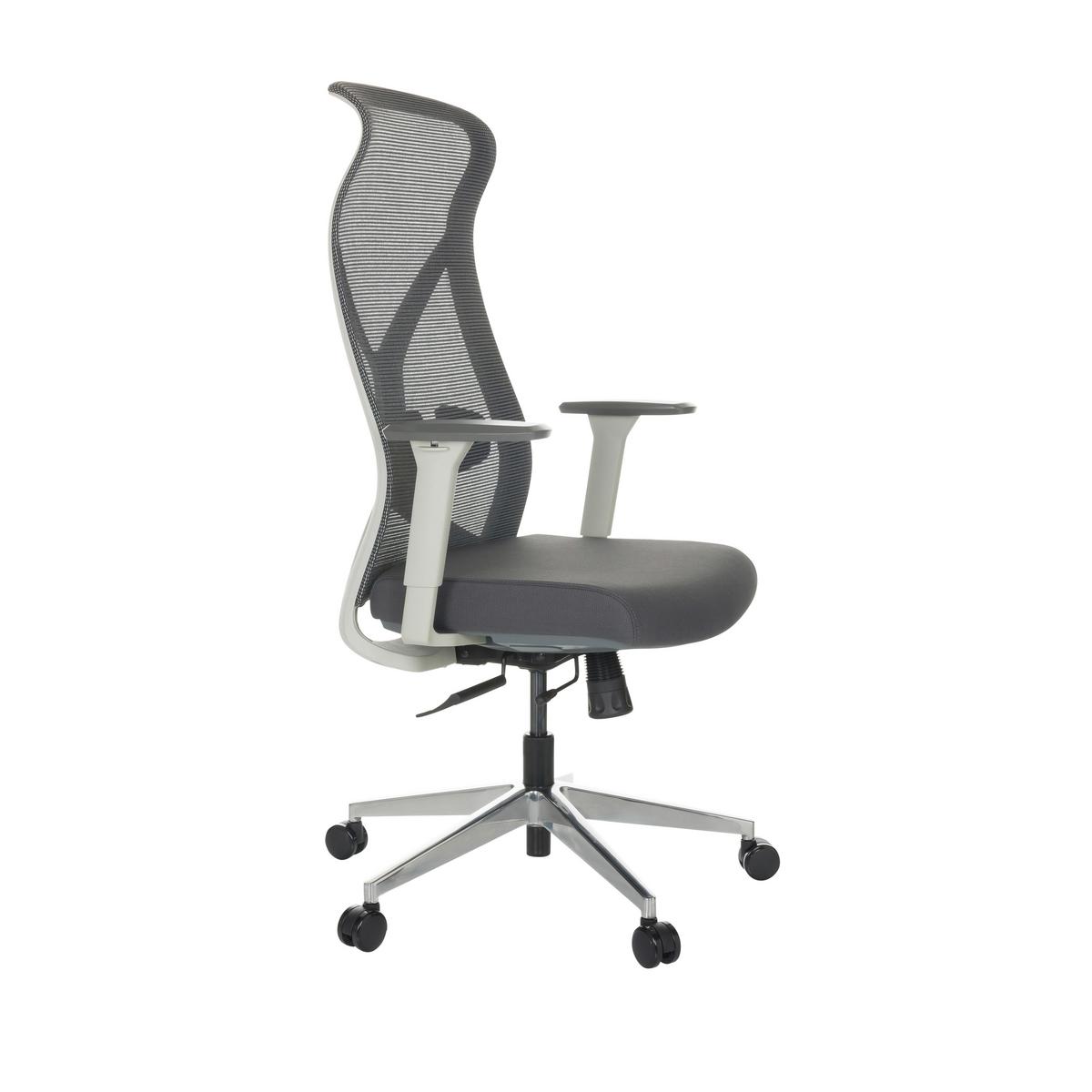 Pisarniški Stol Azurro W, Siva - srebrne barve/črna, Basics, kovina/umetna masa (69/119-128/60cm) - MID.YOU