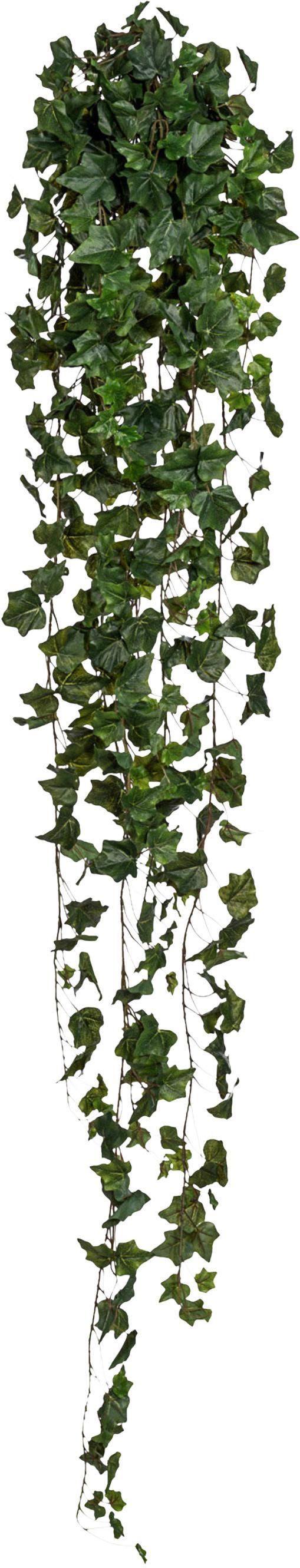Kunstpflanze Hängepflanze Grün - Grün, Design, Kunststoff (170cm)