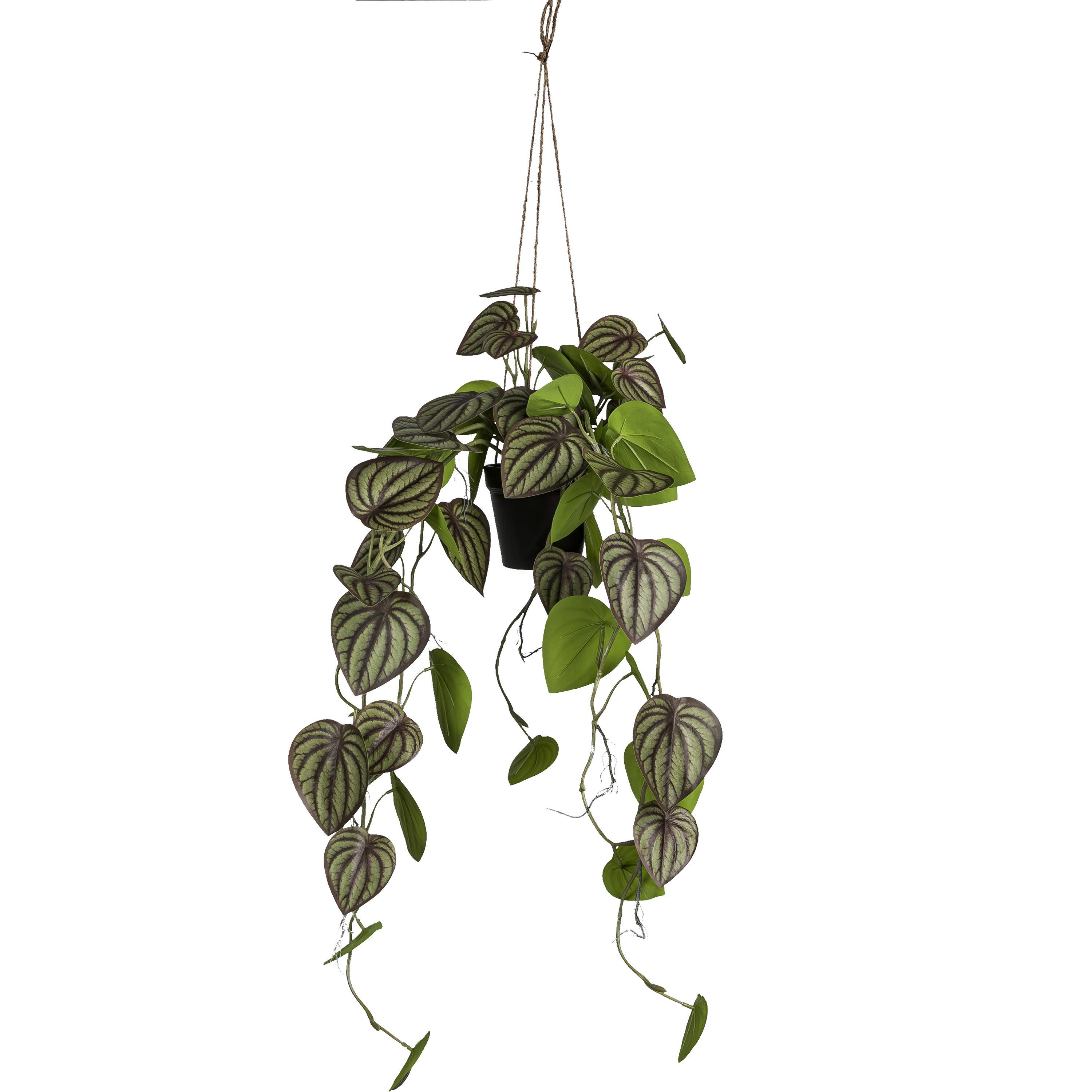Kunstpflanze Grün - Schwarz/Grün, Basics, Kunststoff (80cm)