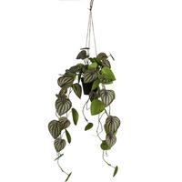 Kunstpflanze Grün - Schwarz/Grün, Basics, Kunststoff (80cm)