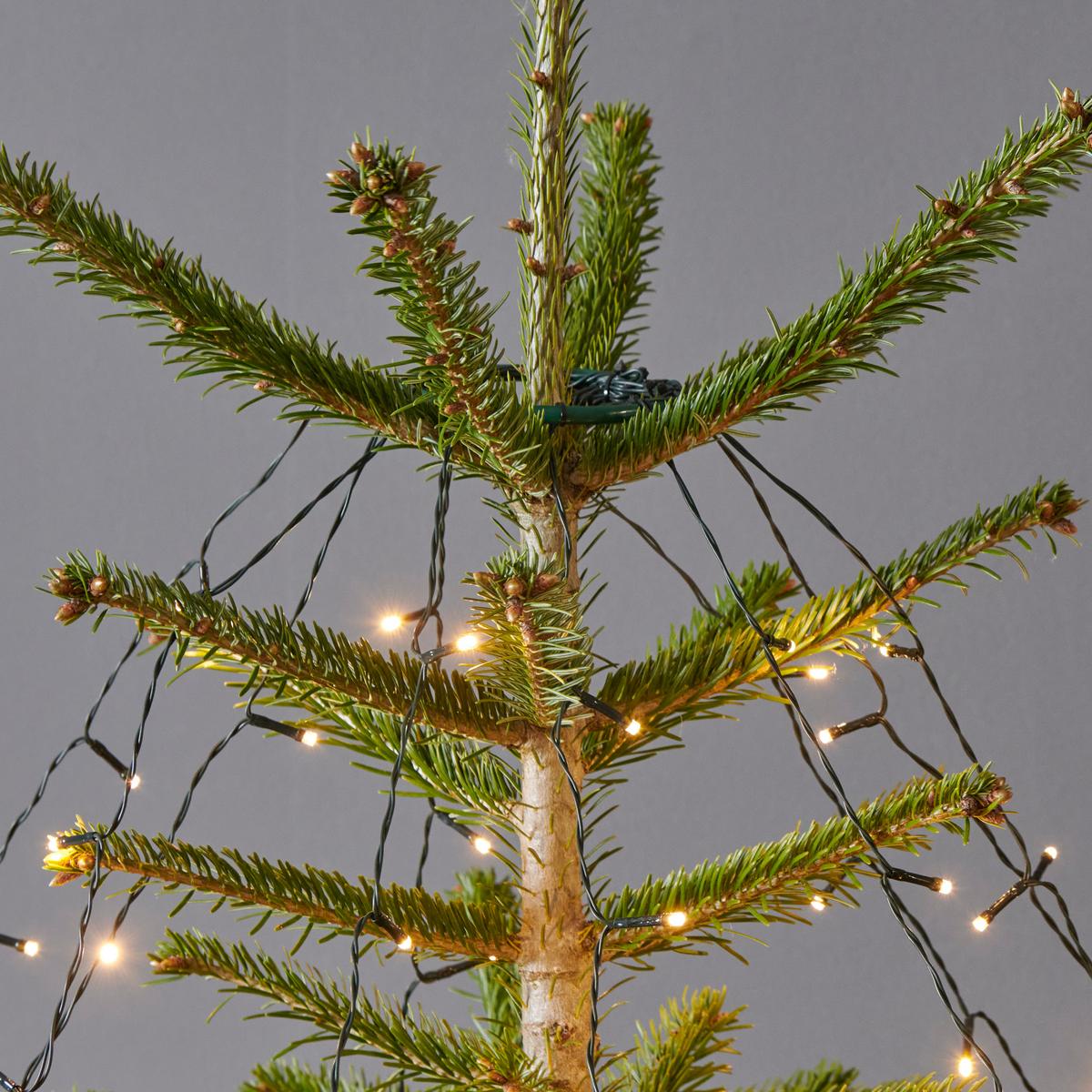 Fényfüzér Drübi - zöld, Modern (250cm) - Premium Living