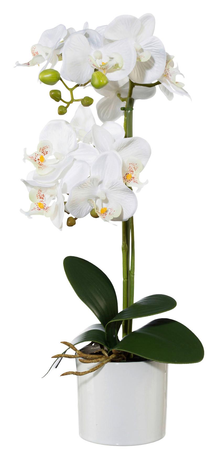 Orchideenstab Aus Kunststoff – Violett, Höhe 39 Cm, Mit 3 Halterungen, Dekorative Blütenstütze