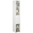 Mehrzweckschrank Mrk - Alufarben/Weiß, Holzwerkstoff/Kunststoff (30/185/40cm) - MÖMAX modern living