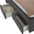 Polsterbett Grau 160x200cm - Schwarz/Grau, KONVENTIONELL, Holz/Holzwerkstoff (160/200cm) - PREMIUM LIVING