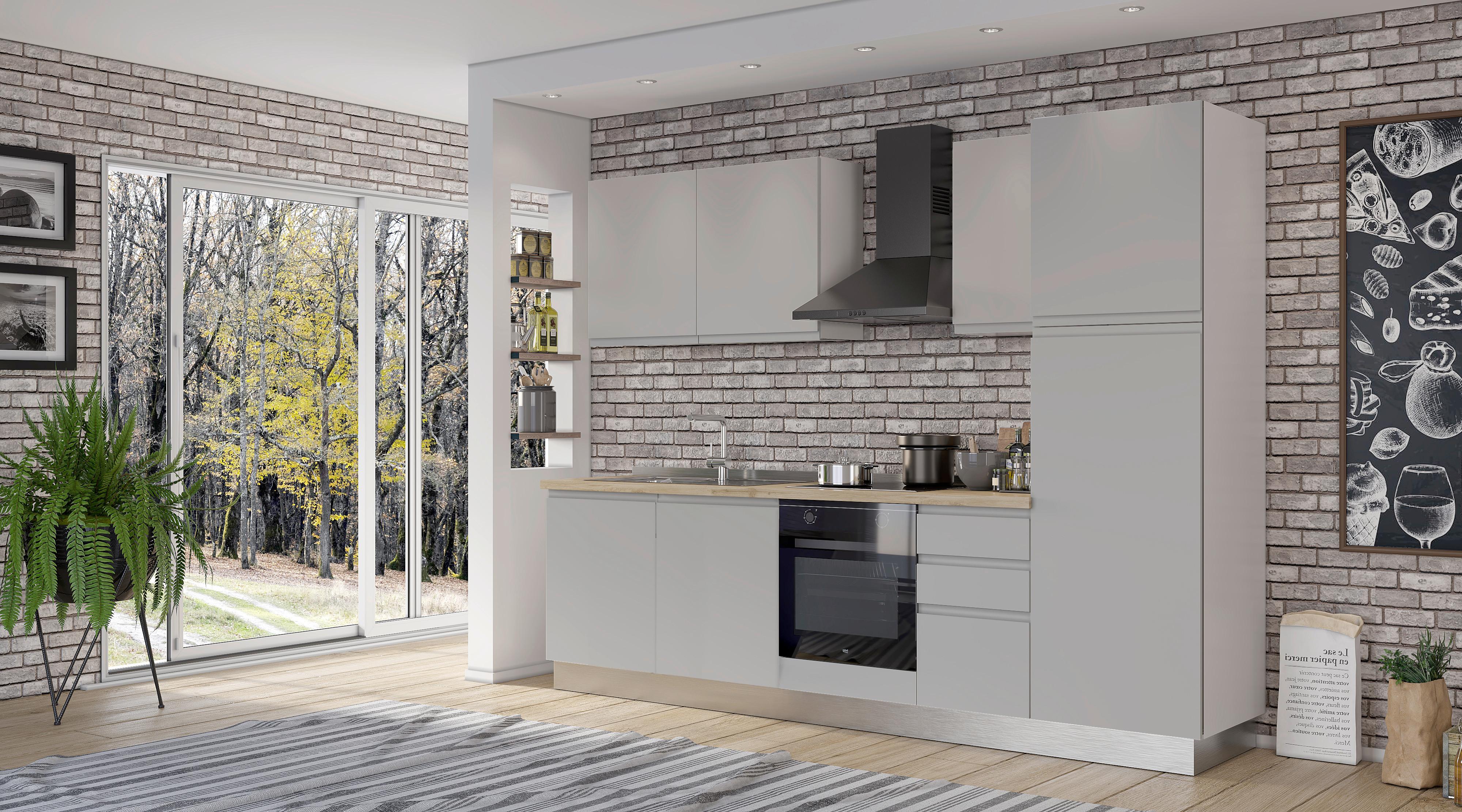 Blok Kuhinja Sa Uređajima Gilda Gola - siva/bela, Moderno, drvo/pločasti materijal (285/216/60cm) - Modern Living