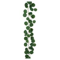 Umetna Rastlina Eukalyptusgirlande Ii - zelena/rjava, Konvencionalno, umetna masa (190cm) - Mömax