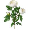 Umetna Rastlina Peonienzweig I - zelena/bela, Basics, umetna masa (70cm) - Modern Living