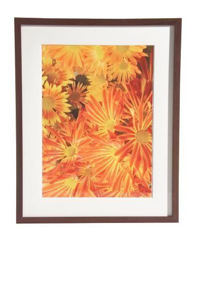 Bilderrahmen Gitta aus Holz ca. 40x50cm - Wengefarben, MODERN, Glas/Holzwerkstoff (40/50cm) - Modern Living