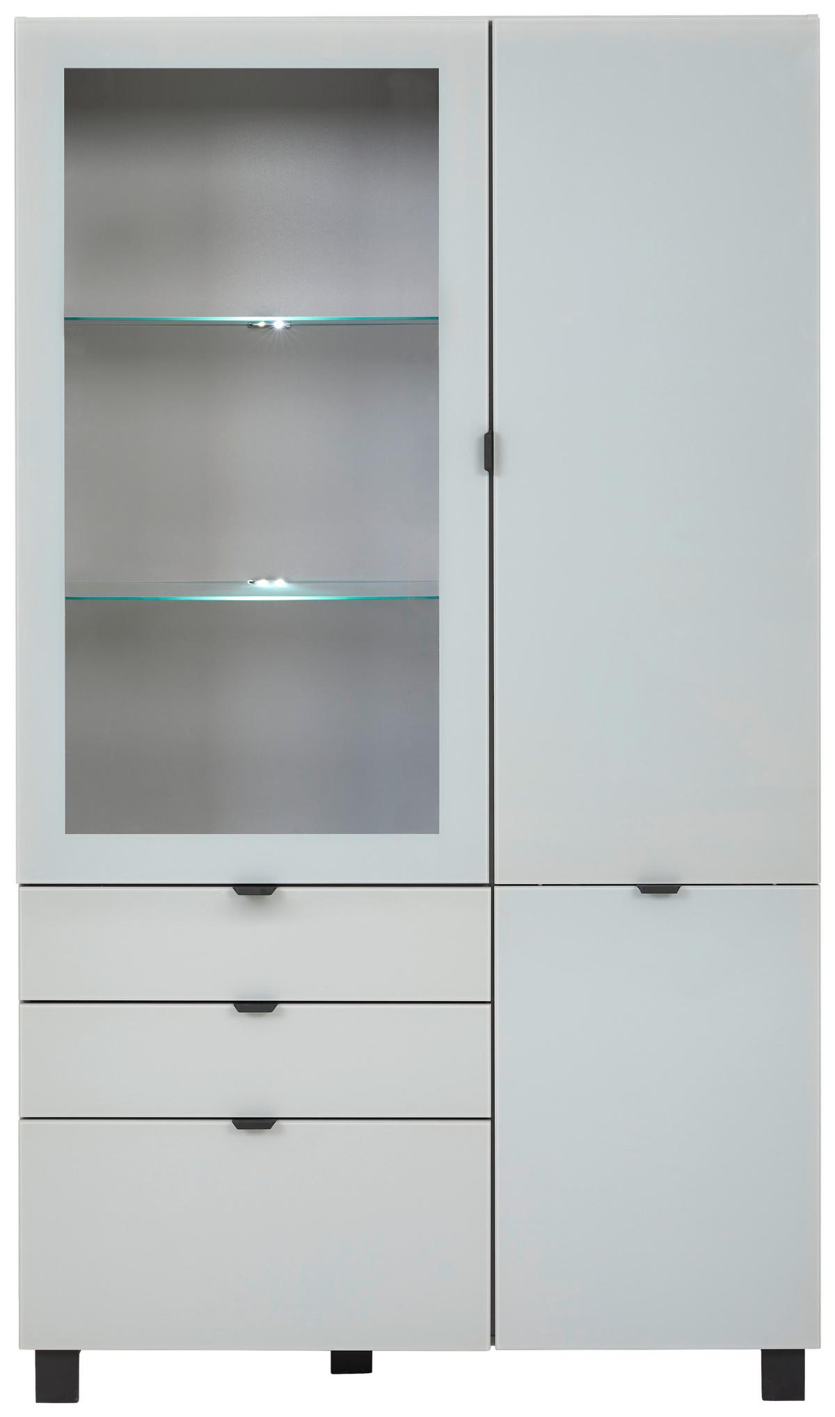Vitrina Poole, Siva - siva/črna, Design, kovina/umetna masa (109,7/190,7/41,4cm) - Hom`in