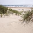 Üvegkép Leaving Into A Sand Dune - multicolor, modern, üveg (20/20/1,70cm) - MÖMAX modern living