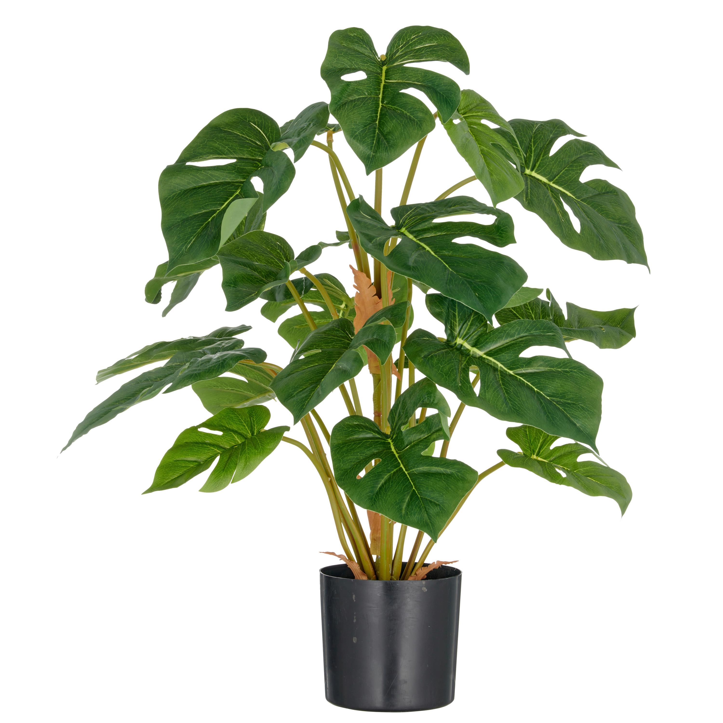 Kunstpflanze Split- Philodendron ca. 65cm - Schwarz/Braun, Basics, Kunststoff (65cm) - P & B