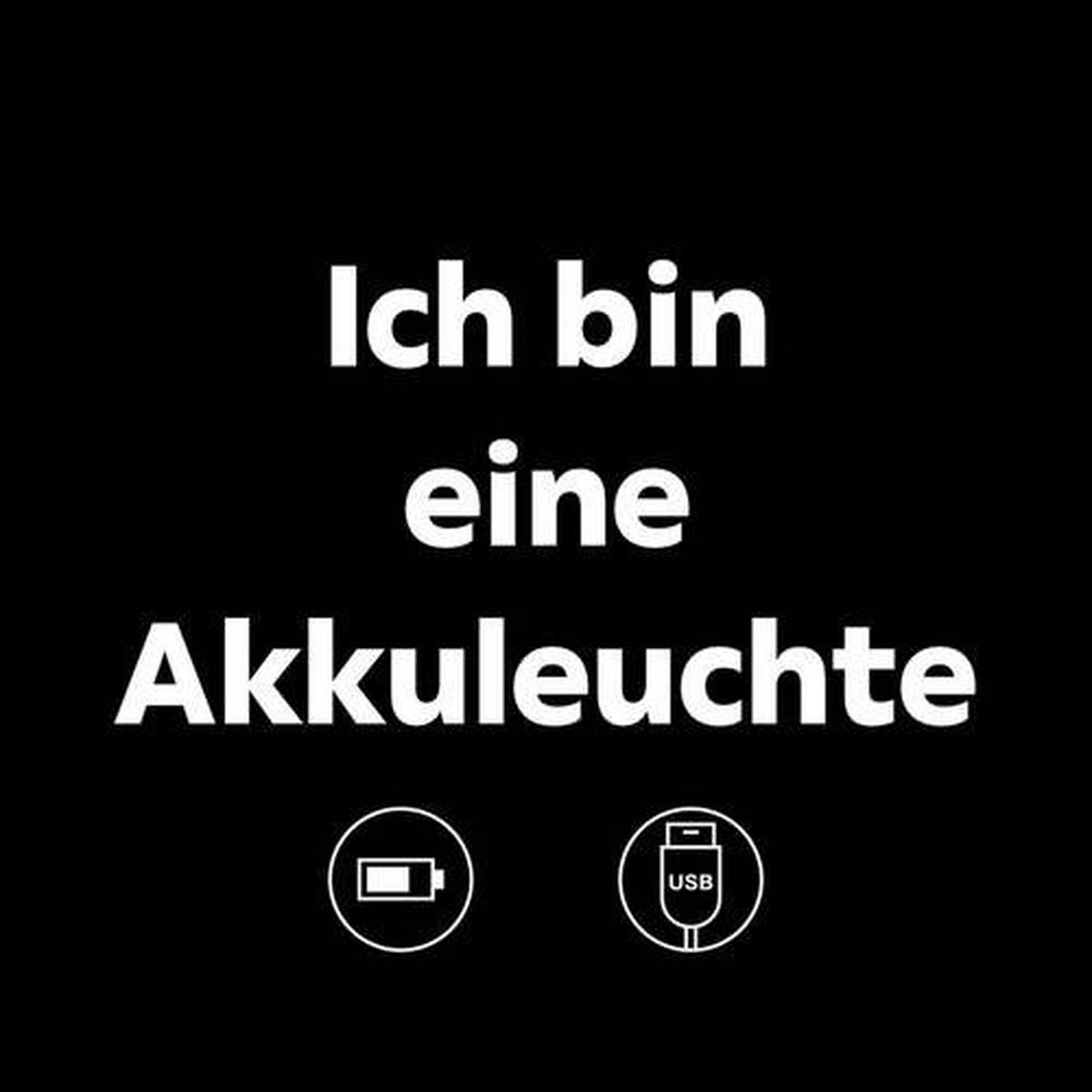 AKKU-TISCHLEUCHTE 21026N SHIRA - Klar/Opal, Design, Kunststoff/Metall (8/23,5cm) - Globo