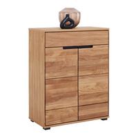 Omara Za Čevlje Lola, Hrast, Masivno - črna/barve hrasta, Trendi, kovina/umetna masa (80/102/40cm) - Premium Living