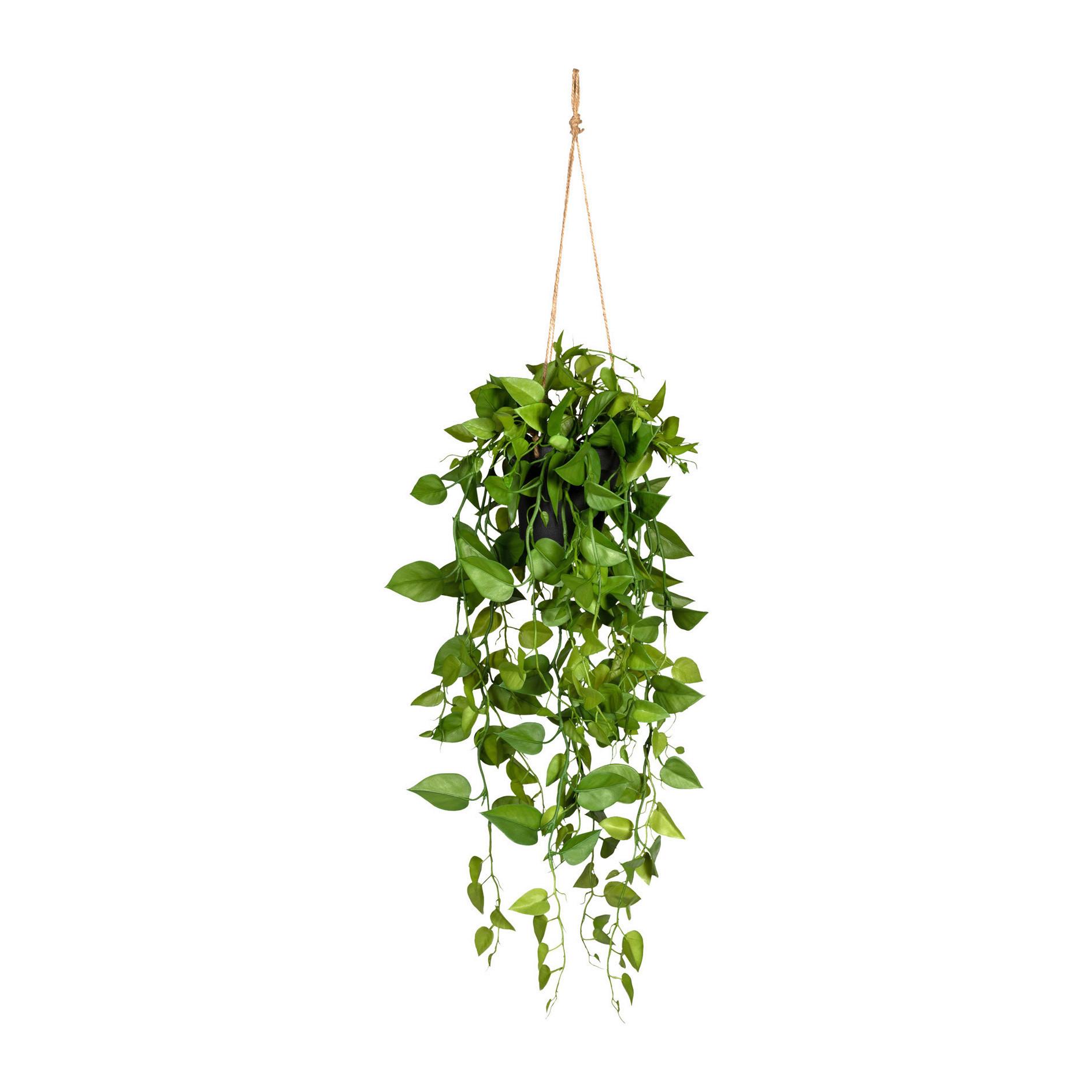 Műnövény Philodendronhänger Ii - Zöld/Fekete, modern, Műanyag (75cm) - Modern Living