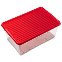 Box mit Deckel Xmas Rot/Transparent für 43 Kugeln - Transparent/Rot, KONVENTIONELL, Karton/Kunststoff - Mömax