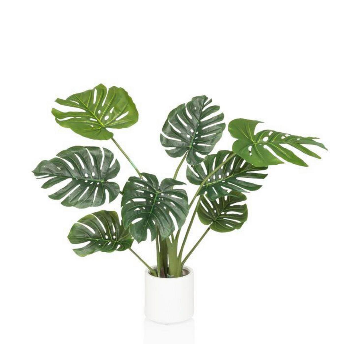 Umetna Rastlina Monstera I - zelena/bela, Moderno, umetna masa (33/90/37cm) - MID.YOU