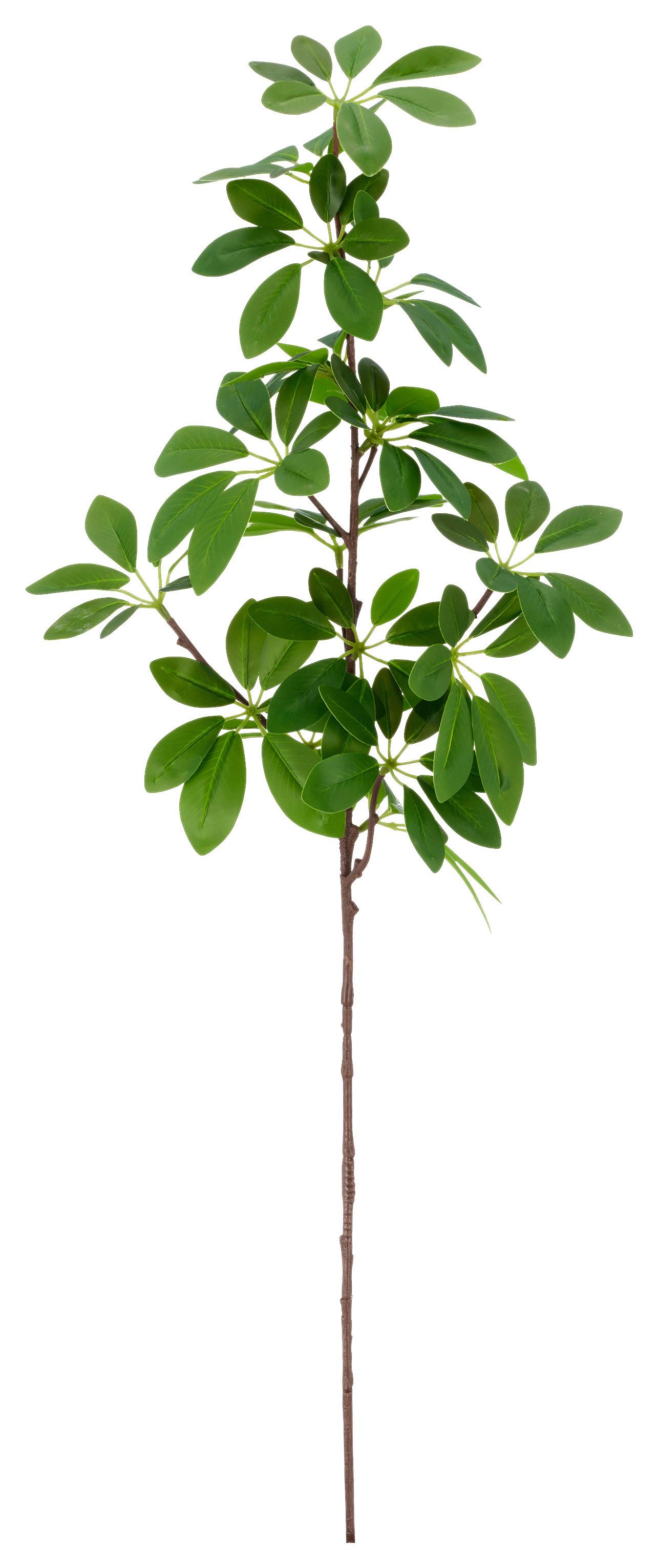 Schefflerazweig II Grün ca. 73cm - Grün, Basics, Kunststoff/Metall (73cm) - Mömax