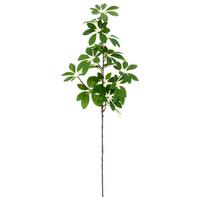 Schefflerazweig II Grün ca. 73cm - Grün, Basics, Kunststoff/Metall (73cm) - Mömax