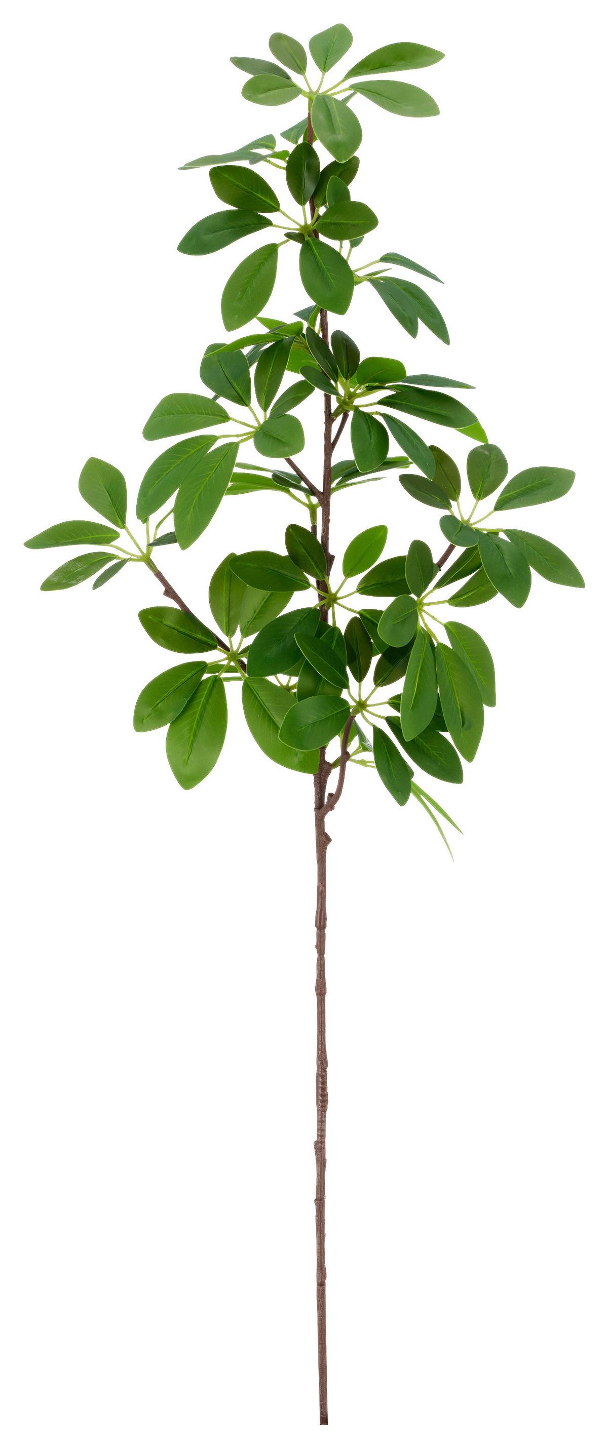 Schefflerazweig II Grün ca. 73cm - Grün, Basics, Kunststoff/Metall (73cm) - Mömax