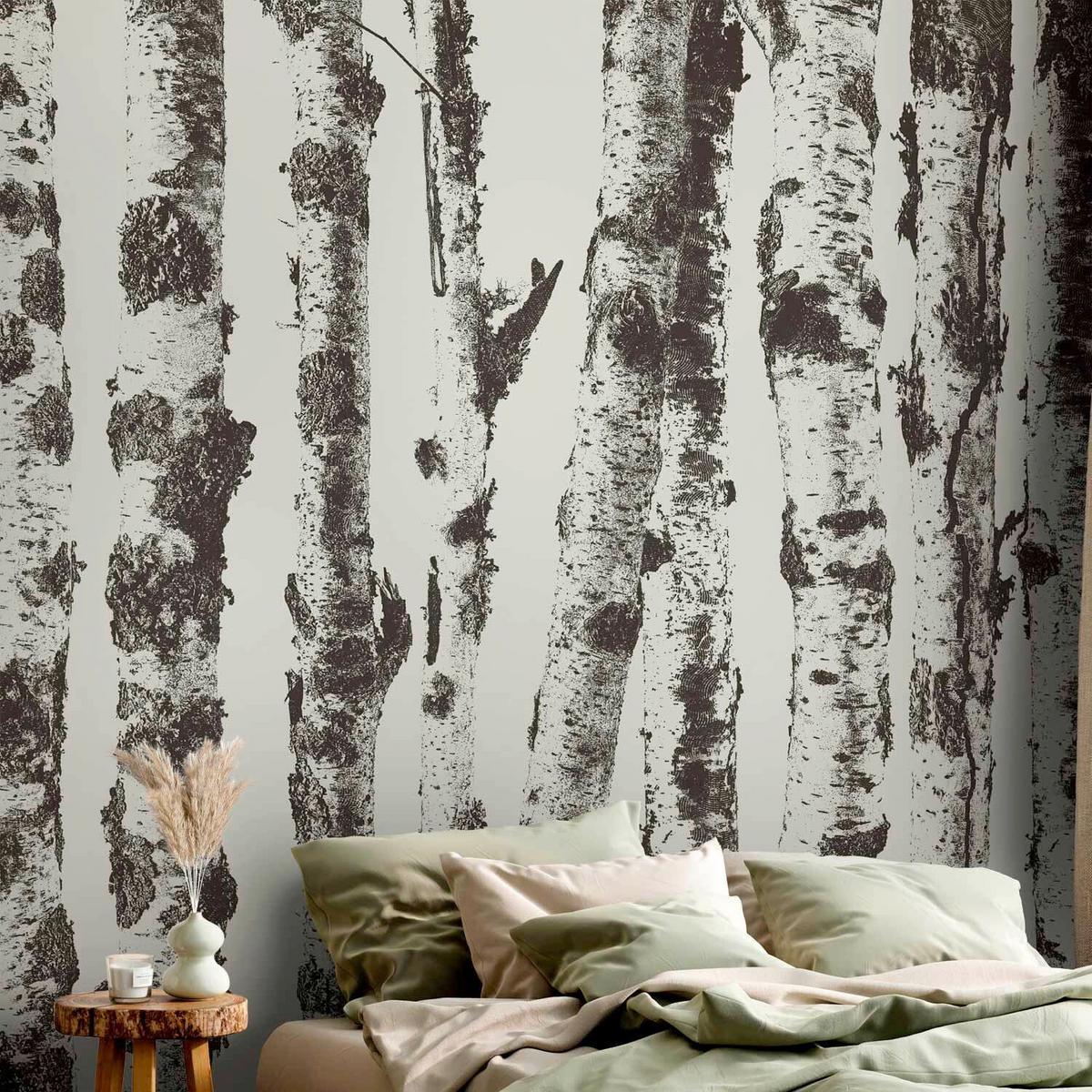 Fototapeta Stately Birches, 200x140cm - siva/ekru, Trendi, tekstil (200/140cm) - artgeist