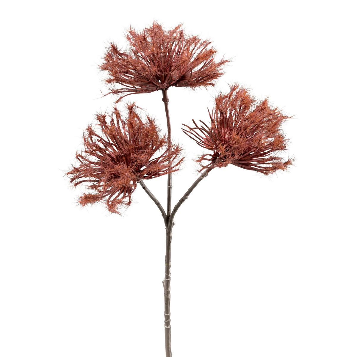 Dekor Gally Urchin - barna/bordó, Konventionell, műanyag (37cm) - Modern Living