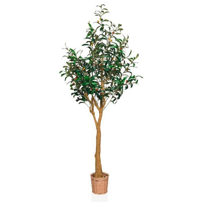 Umetna Rastlina Olive Ii - svetlo rjava/zelena, Moderno, umetna masa (60/150/60cm) - MID.YOU