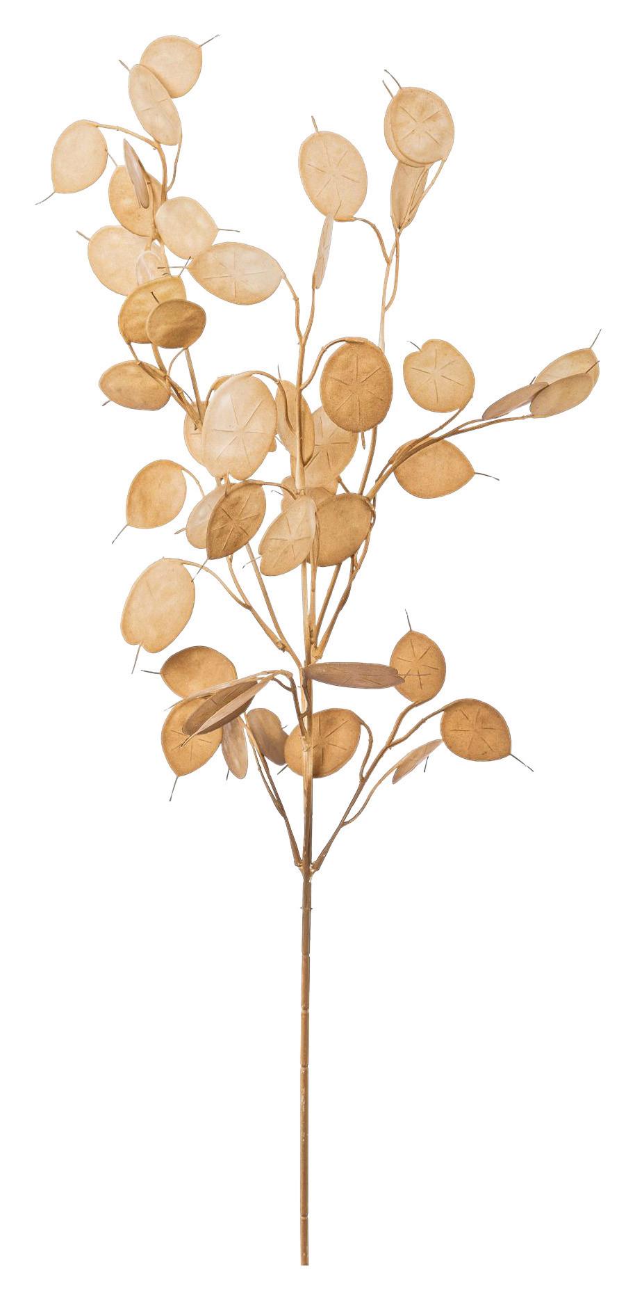 Kunstpflanze Pfennigblatt I Braun - Braun, Natur, Kunststoff (76cm)