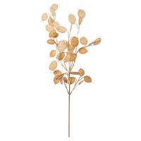 Műnövény Crassula - barna, Natur, műanyag (76cm)