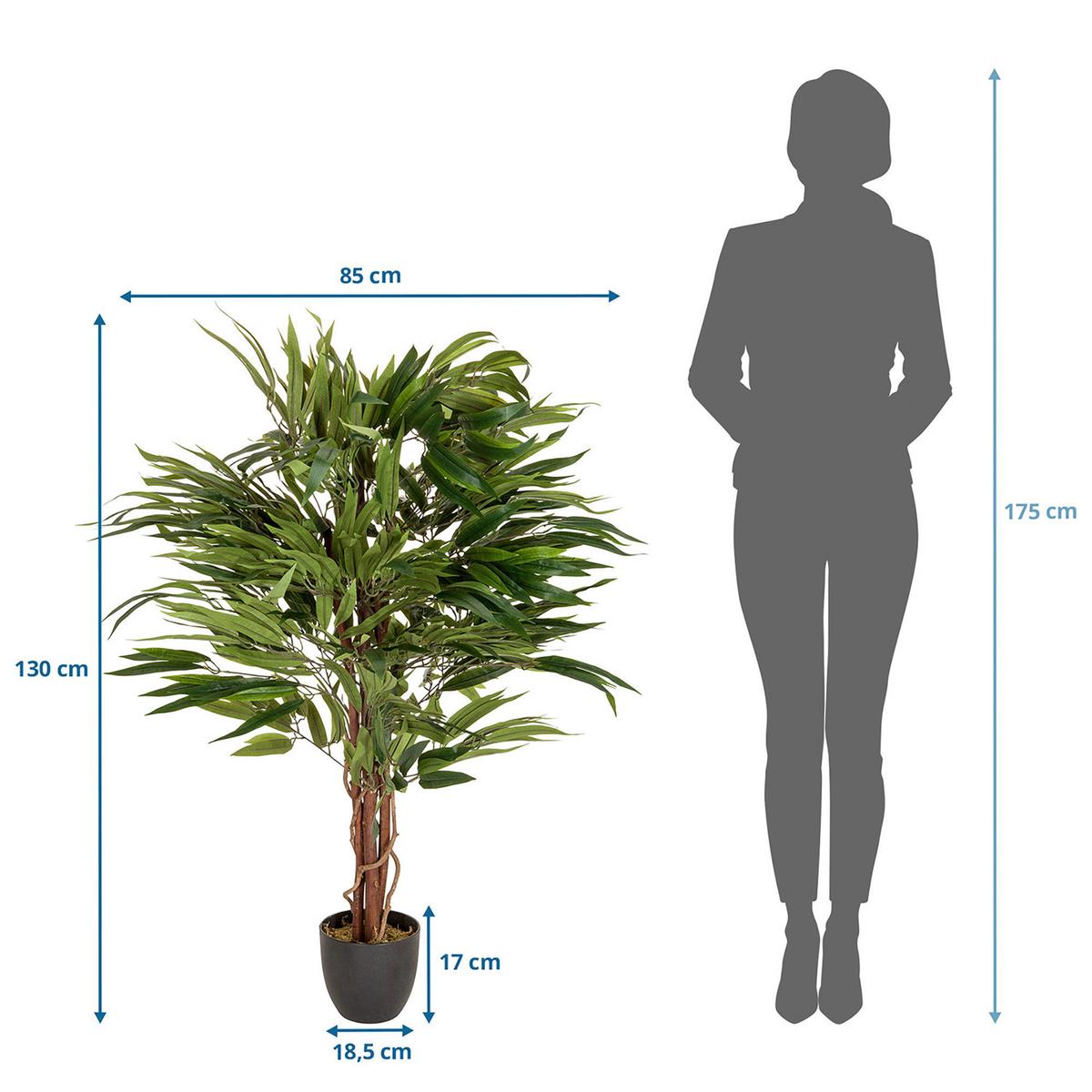 Umetna Rastlina Mango - črna/zelena, Basics, umetna masa (85/130/85cm) - MID.YOU