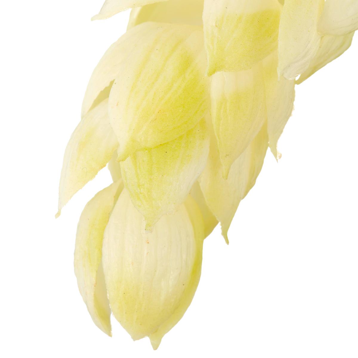 Umetna Rastlina Hopfen I -Paz- - bela/zelena, Basics, kovina/umetna masa (107cm) - Mömax