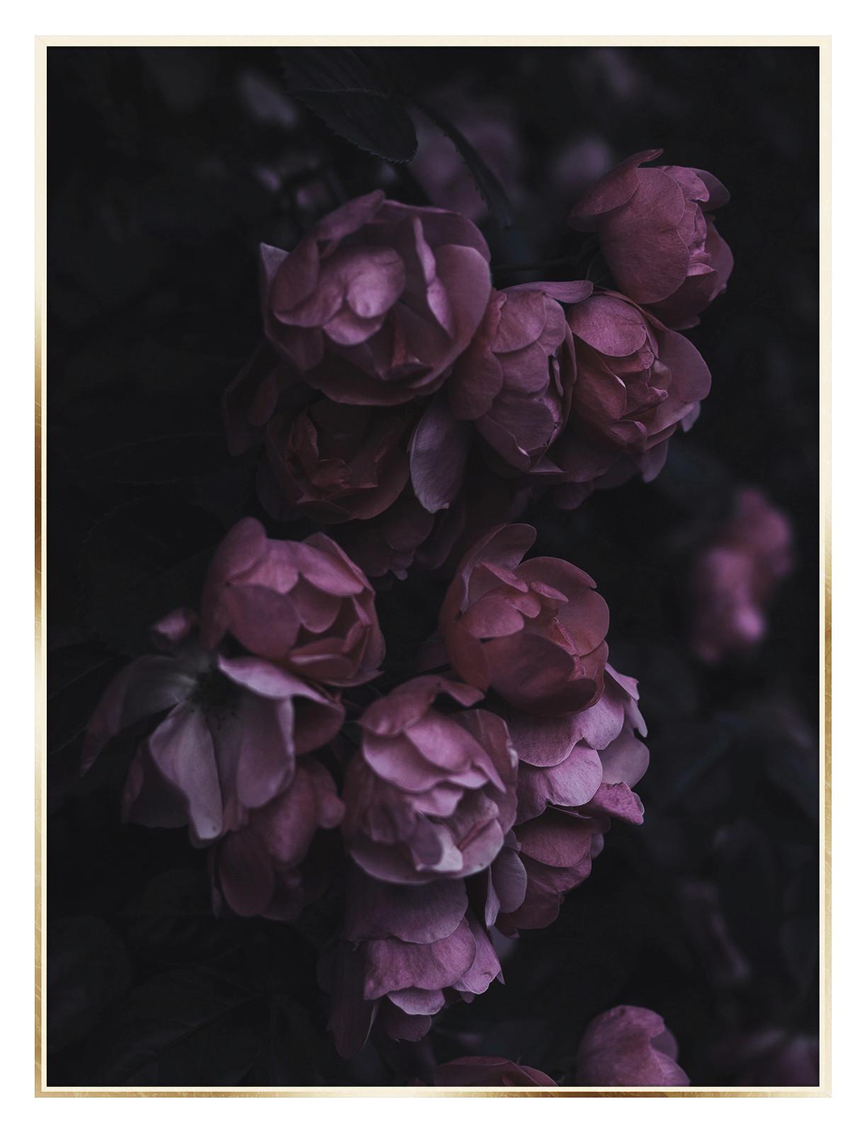 Tablou cu ramă Elena cca. 50x70 cm - lila/auriu, hârtie/lemn (50/70cm) - Modern Living