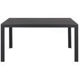 Gartentisch Sammy in Grau - Grau, Kunststoff/Metall (150/74/90cm)