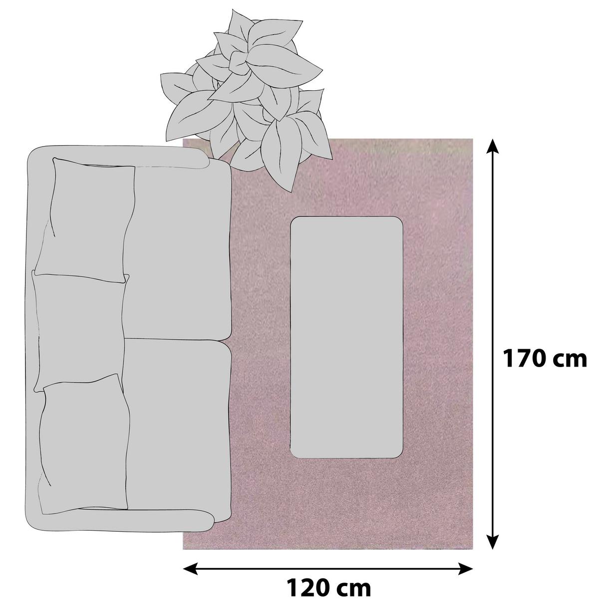 Preproga Z Visokim Florom Ata, Roza, 120x170cm - roza, Konvencionalno, tekstil (120/170cm)