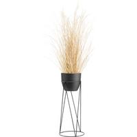 Übertopf Eastside aus Metal Ø ca. 25cm - Schwarz, Metall (25/60cm) - Mömax
