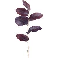 Dekor Gally Salal - lila, Konventionell, műanyag (64cm) - Modern Living
