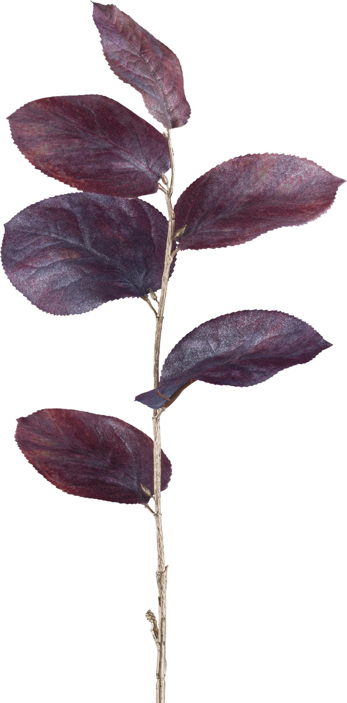 Dekor Gally Salal - lila, Konventionell, műanyag (64cm) - Modern Living