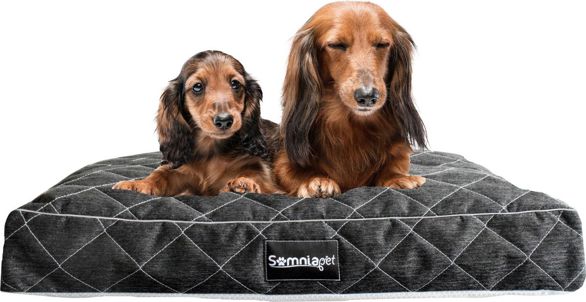 Kisállatpárna Erny M - Modern (75/60/11cm)